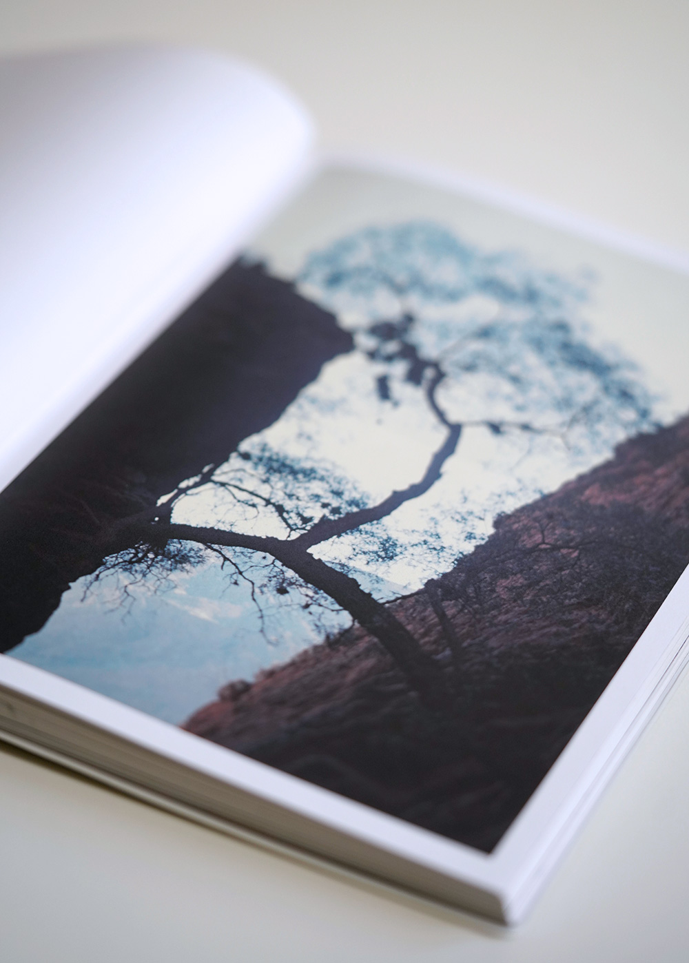 Laboratorio de fotolibros